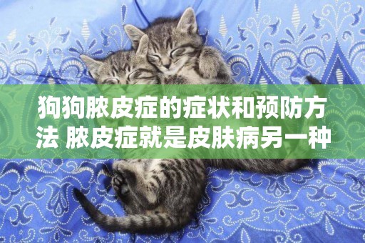 狗狗膿皮癥的癥狀和預防方法 膿皮癥就是皮膚病另一種表現