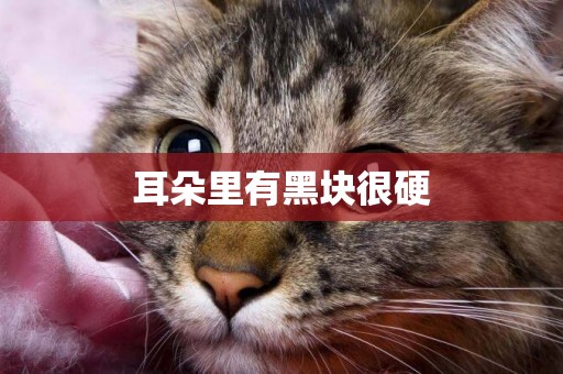 耳朵里有黑塊很硬