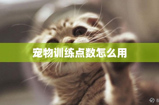 寵物訓練點數怎么用