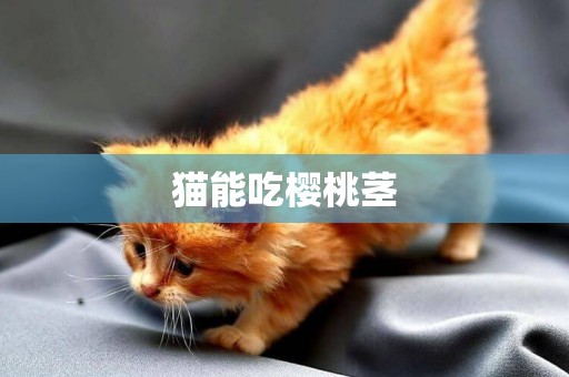 貓能吃櫻桃莖