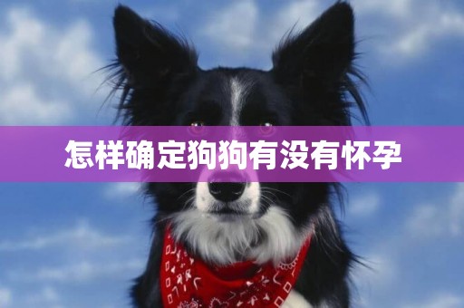 怎樣確定狗狗有沒有懷孕