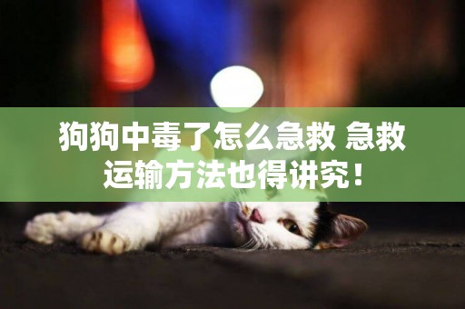 狗狗中毒了怎么急救 急救運輸方法也得講究！