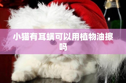小貓有耳螨可以用植物油擦嗎