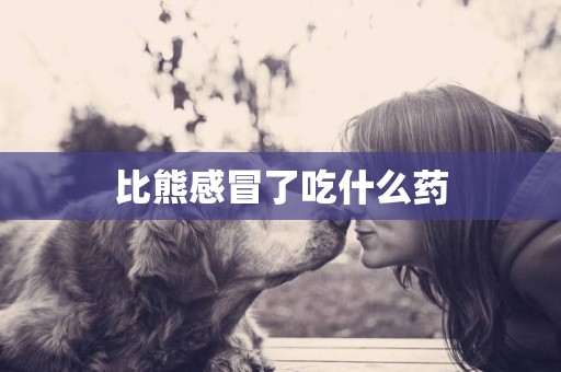 比熊感冒了吃什么藥
