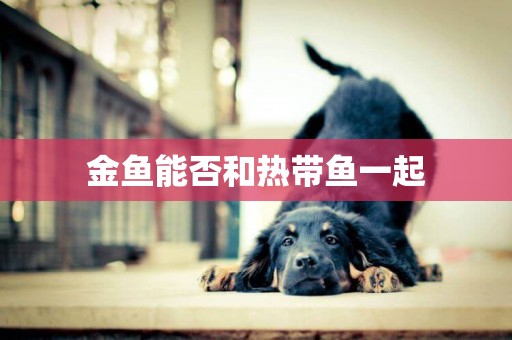 金魚能否和熱帶魚一起