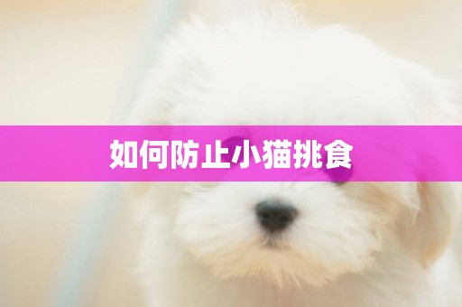 如何防止小貓挑食