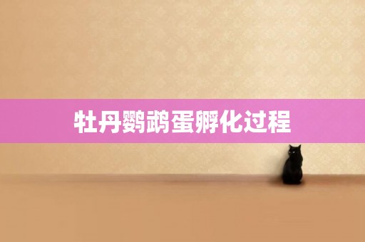 牡丹鸚鵡蛋孵化過程