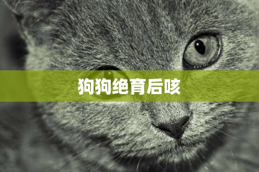 狗狗絕育后咳