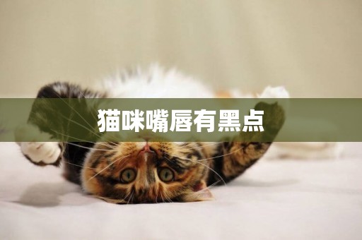 貓咪嘴唇有黑點