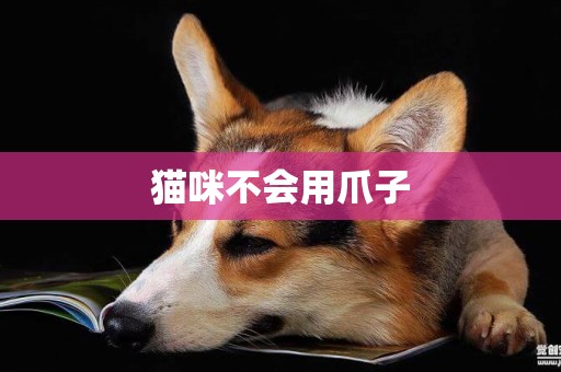 貓咪不會用爪子