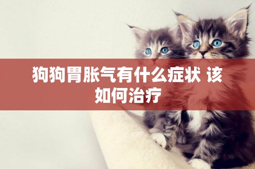 狗狗胃脹氣有什么癥狀 該如何治療