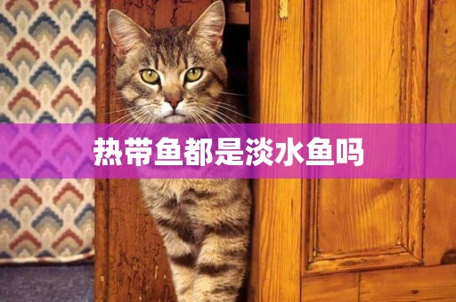 熱帶魚都是淡水魚嗎