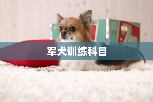 軍犬訓練科目