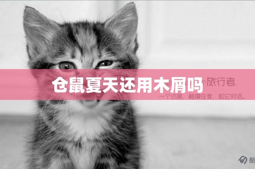 倉鼠夏天還用木屑嗎