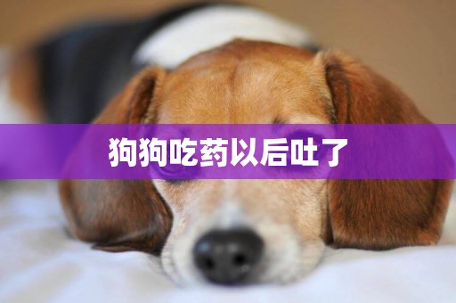狗狗吃藥以后吐了