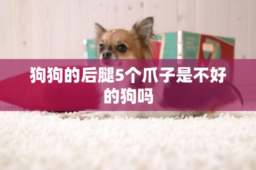 狗狗的后腿5個爪子是不好的狗嗎