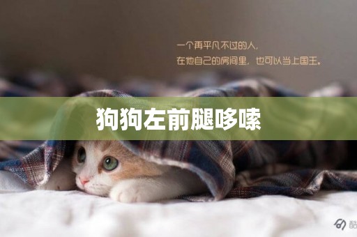 狗狗左前腿哆嗦