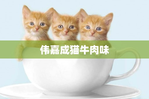 偉嘉成貓牛肉味