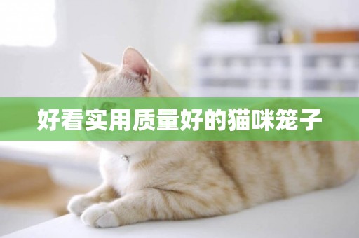 好看實用質量好的貓咪籠子