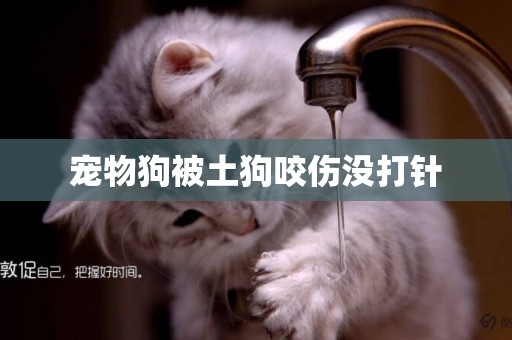 寵物狗被土狗咬傷沒打針