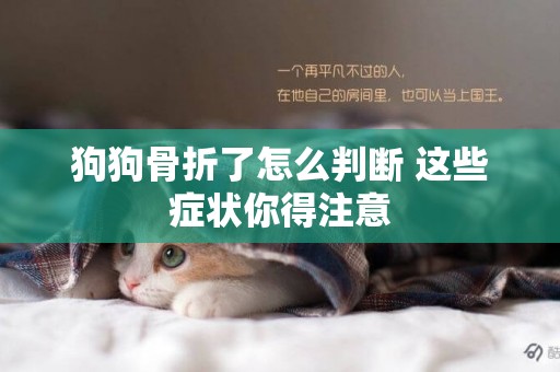 狗狗骨折了怎么判斷 這些癥狀你得注意