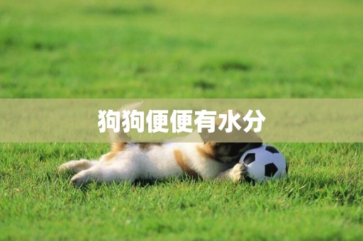 狗狗便便有水分