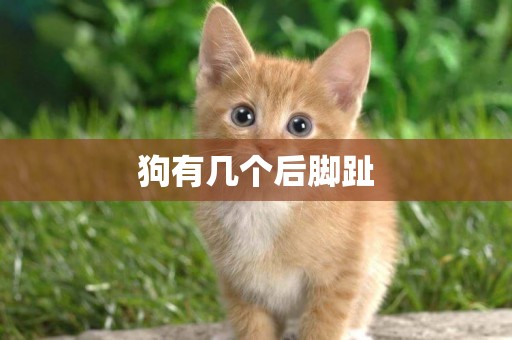 狗有幾個后腳趾