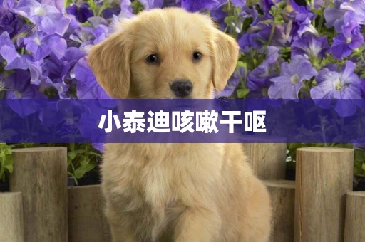 小泰迪咳嗽干嘔