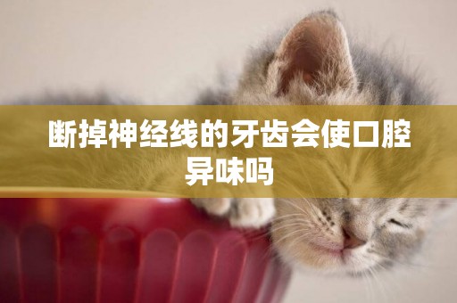 斷掉神經線的牙齒會使口腔異味嗎