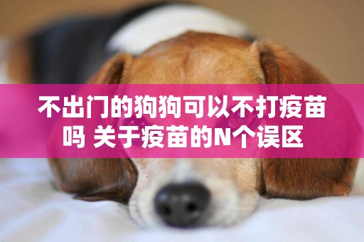 不出門的狗狗可以不打疫苗嗎 關于疫苗的N個誤區