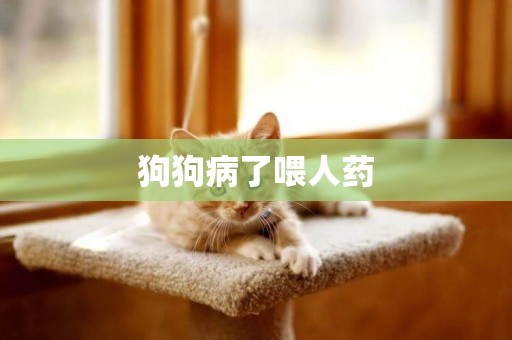 狗狗病了喂人藥