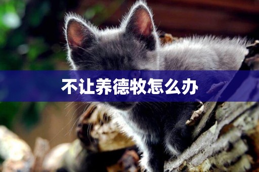 不讓養德牧怎么辦