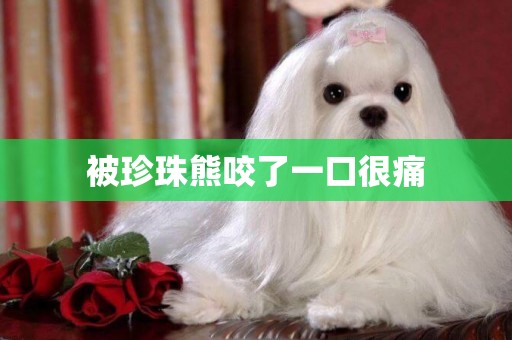 被珍珠熊咬了一口很痛