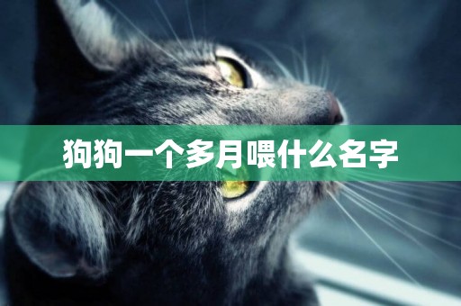 狗狗一個多月喂什么名字