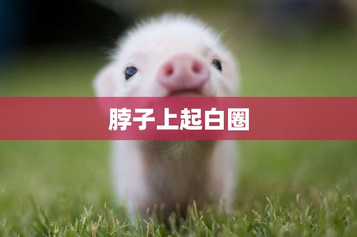 脖子上起白圈