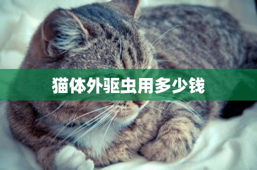 貓體外驅蟲用多少錢