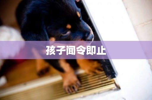 孩子聞令即止
