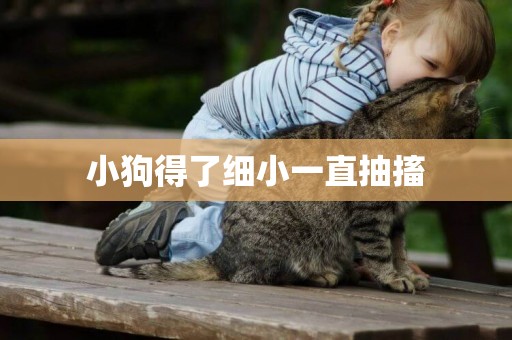 小狗得了細小一直抽搐
