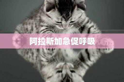 阿拉斯加急促呼吸