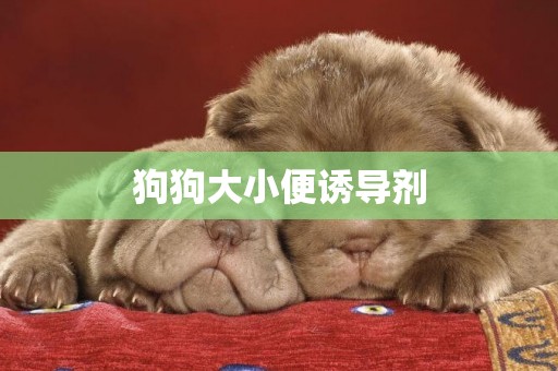 狗狗大小便誘導劑