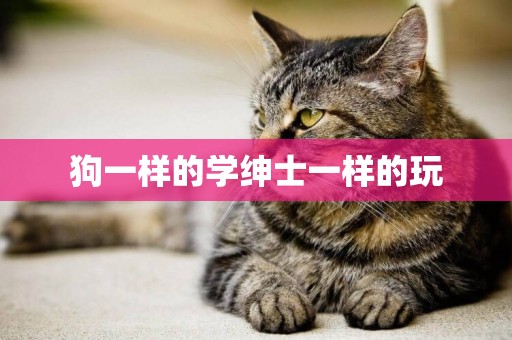 狗一樣的學紳士一樣的玩