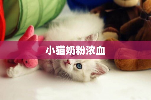 小貓奶粉濃血