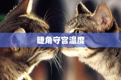 睫角守宮溫度
