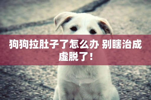 狗狗拉肚子了怎么辦 別瞎治成虛脫了！