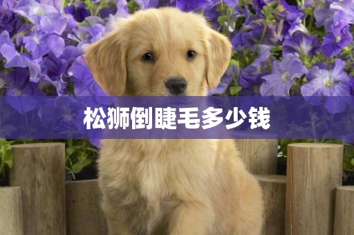松獅倒睫毛多少錢