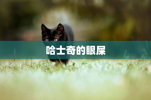 哈士奇的眼屎