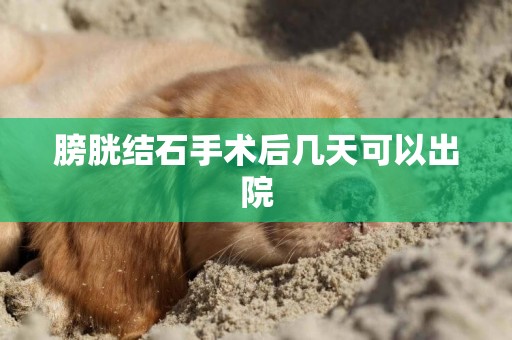 膀胱結石手術后幾天可以出院