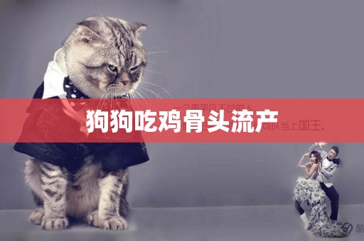 狗狗吃雞骨頭流產