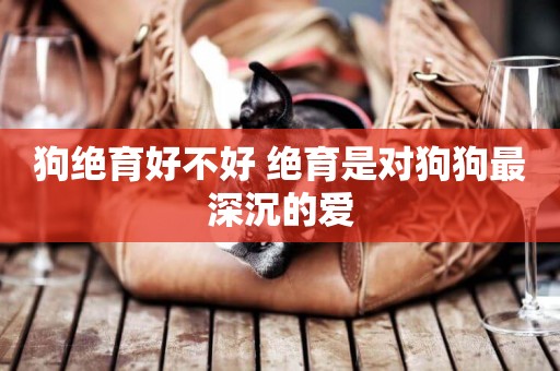 狗絕育好不好 絕育是對狗狗最深沉的愛