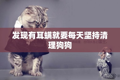 發現有耳螨就要每天堅持清理狗狗